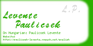 levente paulicsek business card